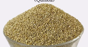 The Complete Encyclopedia of Quinoa
