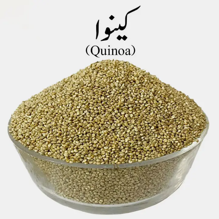 دایره‌المعارف کامل کینوا